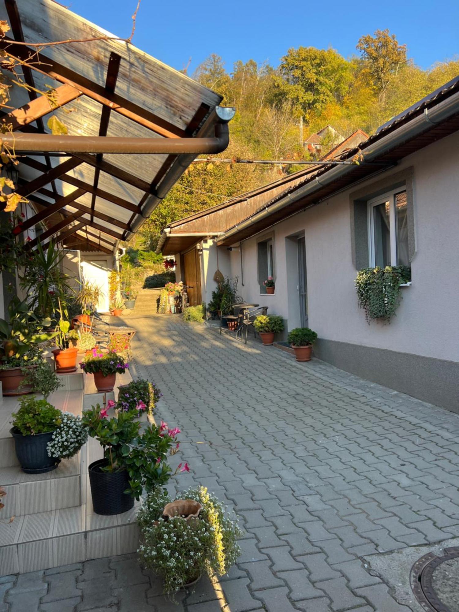 Casa Santa Villa Sighisoara Exterior photo