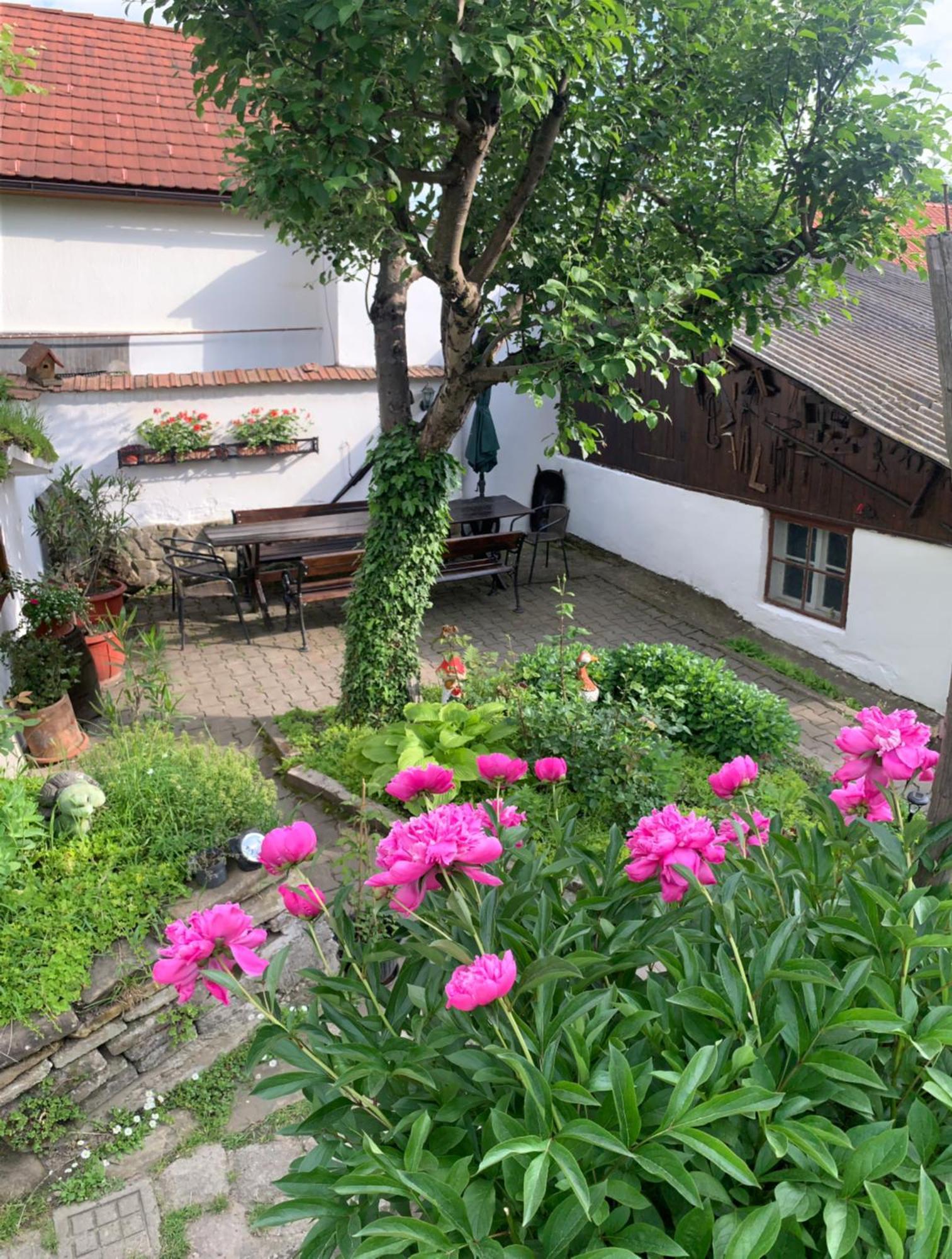 Casa Santa Villa Sighisoara Exterior photo